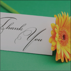 thank-you-cards-wedding-marbella-banner-s