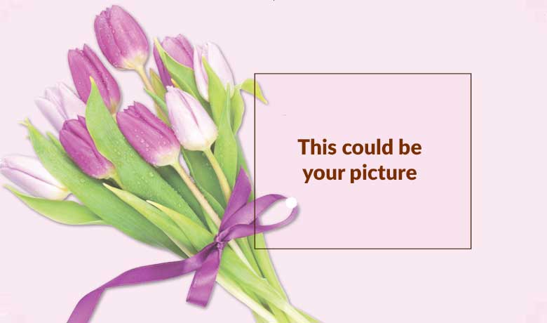 Sample Premium Listing Sample Premium Listing